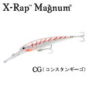 Rapala(ラパラ) XRMAG15　X-RAP 12cm 