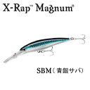 Rapala(ラパラ) XRMAG20　X-RAP 14cm 