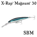 Rapala(ラパラ) XRMAG30　X-RAP 16cm 