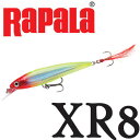 Rapala(ラパラ) XR8　X-RAP 8cm 