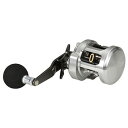 ダイワ(Daiwa) 15キャタリナ　BJ100HL 