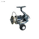 シマノ(SHIMANO) 17ツインパワー　XD　C3000XG 